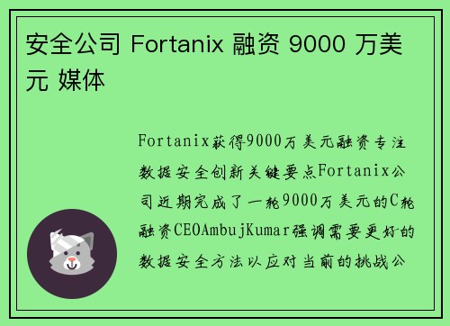 安全公司 Fortanix 融资 9000 万美元 媒体