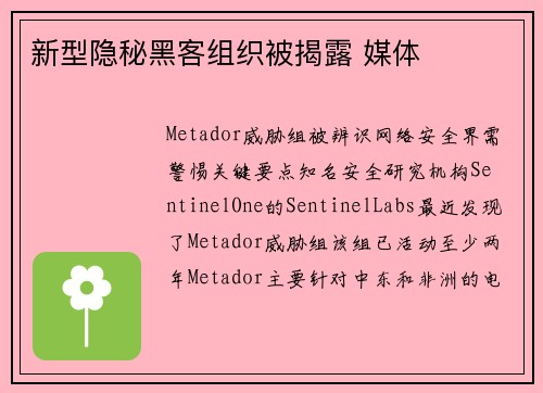 新型隐秘黑客组织被揭露 媒体