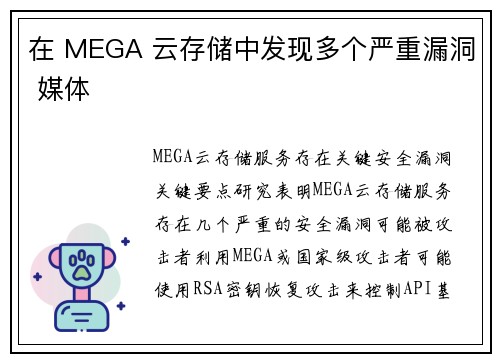 在 MEGA 云存储中发现多个严重漏洞 媒体