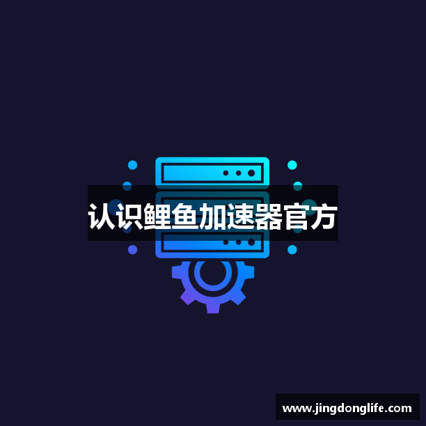 认识鲤鱼加速器官方